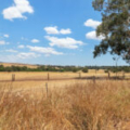 627 Cheriton Road, Gingin, WA 6503 AUS