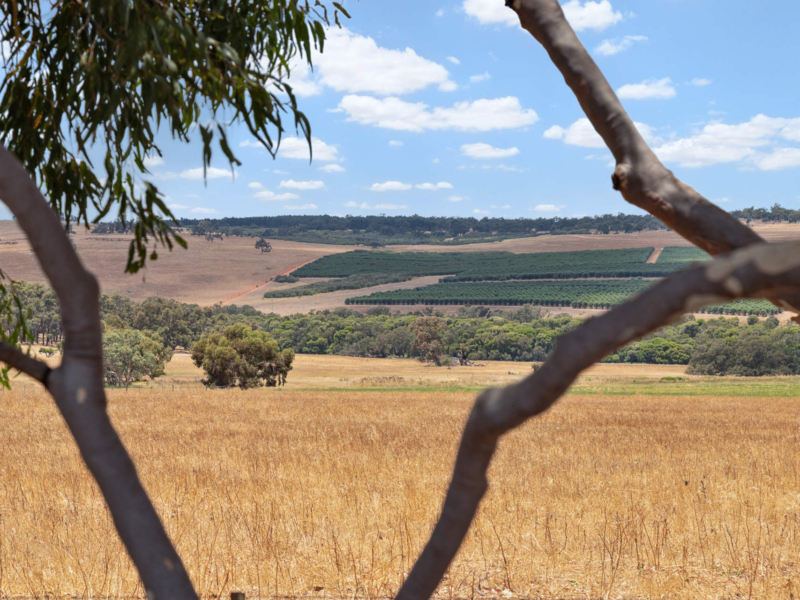 627 Cheriton Road, Gingin, WA 6503 AUS